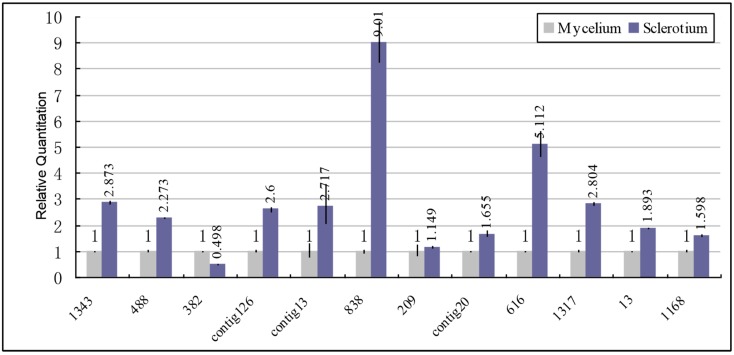 Figure 5