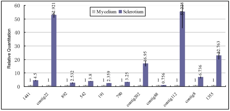 Figure 6