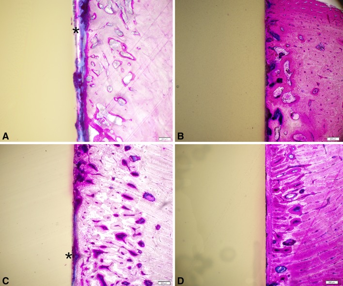 Fig. 2A–D