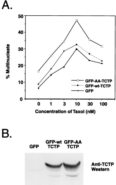 FIG. 8.