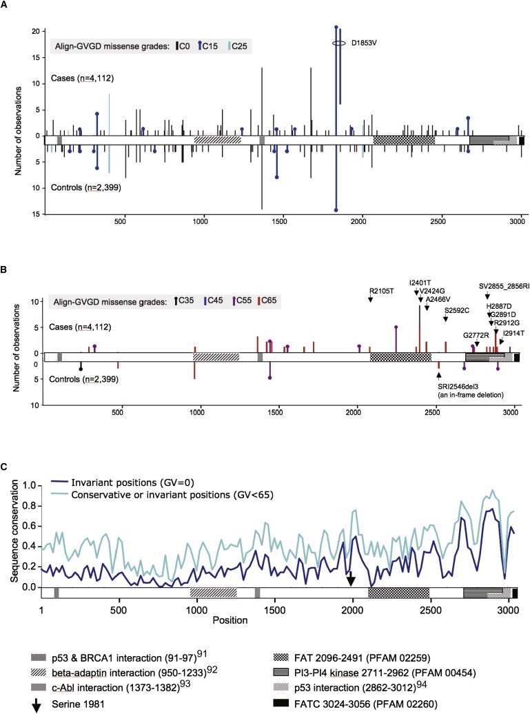 Figure 1