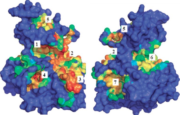 Figure 5