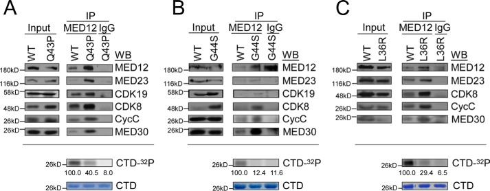 Figure 6.