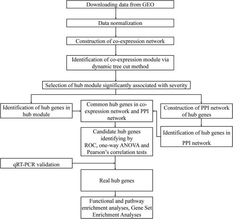 FIGURE 1