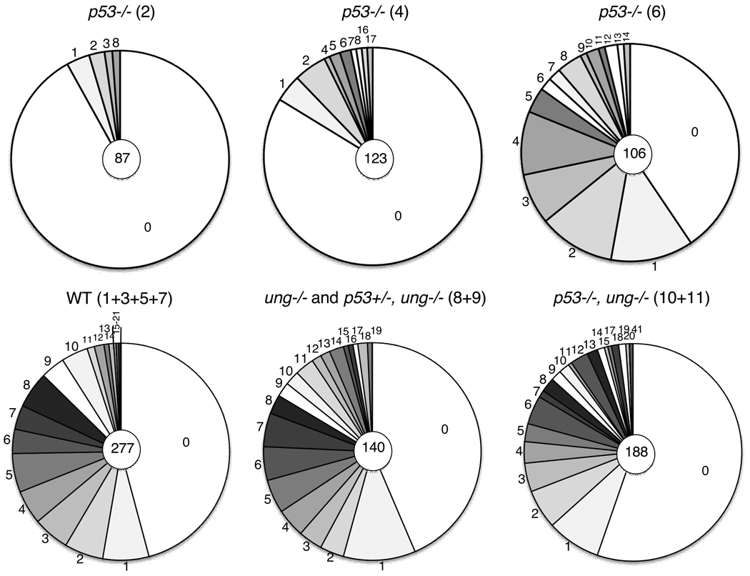 Fig.2