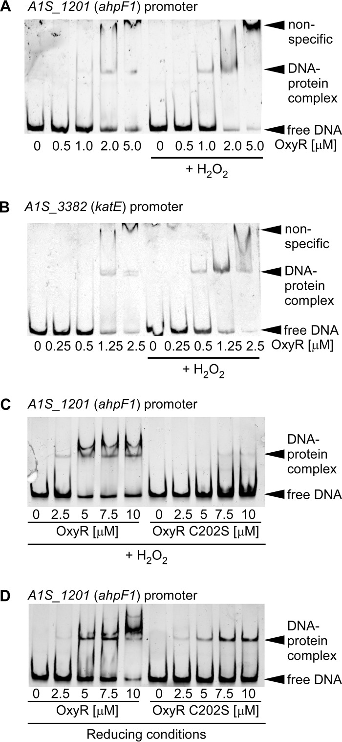 FIG 6