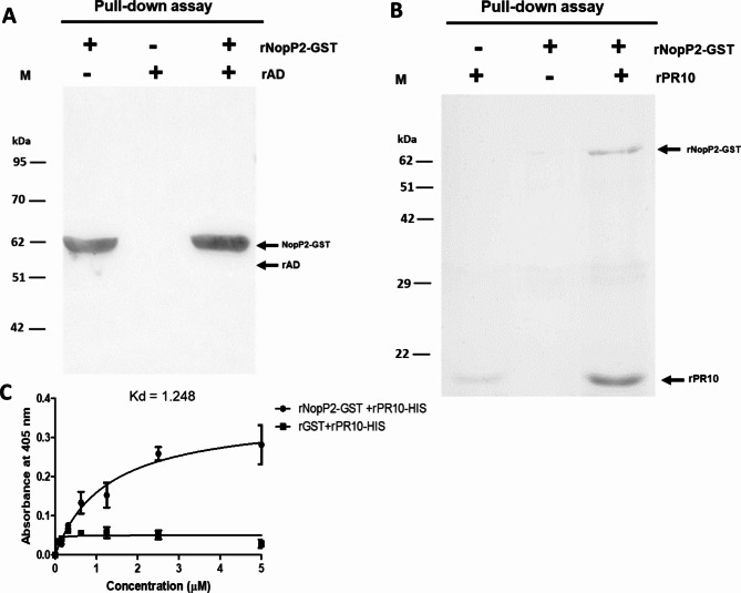 Fig. 7