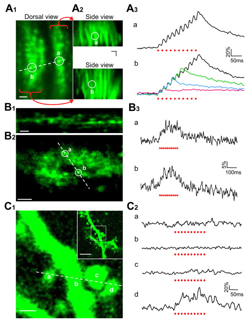 Figure 6