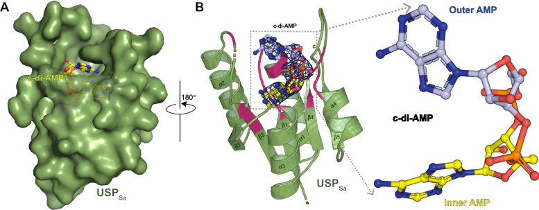 Figure 2