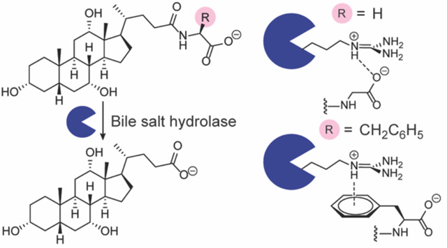 graphic file with name nihpp-2023.09.25.559308v2-f0001.jpg