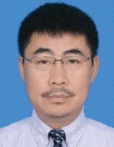 graphic file with name ADVS-9-2103036-g011.gif