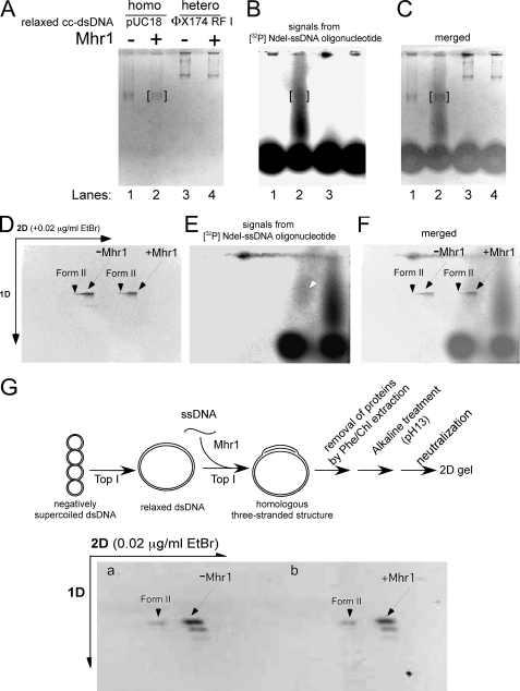 FIGURE 5.