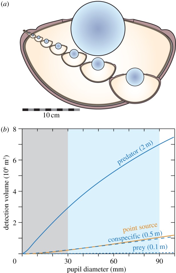 Figure 4.