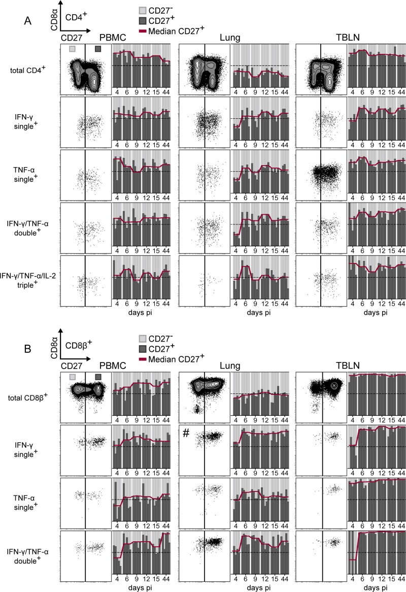 FIG 11