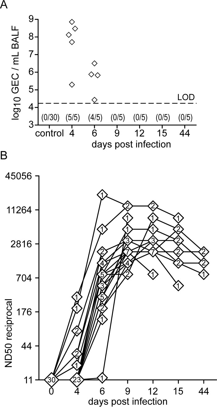 FIG 4