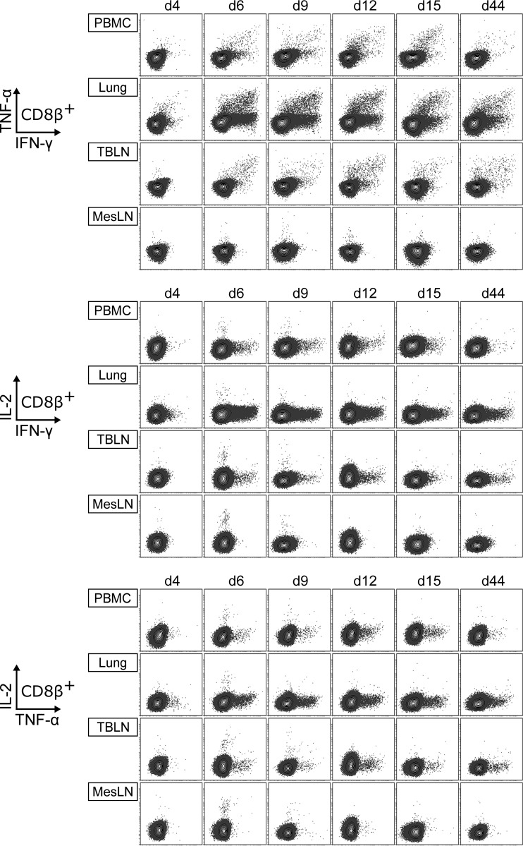 FIG 8