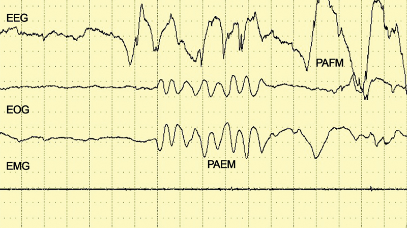 Fig. 8