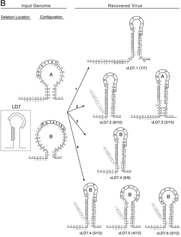 FIG. 3.