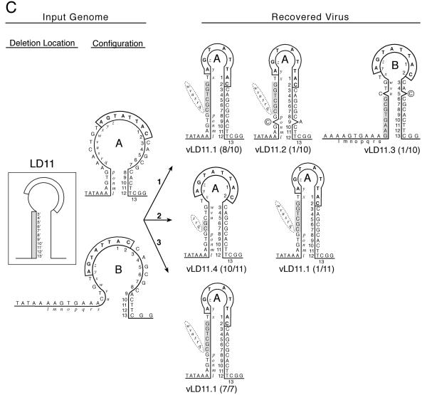 FIG. 3.