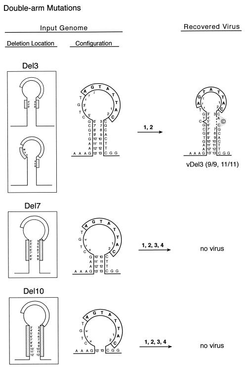 FIG. 5.