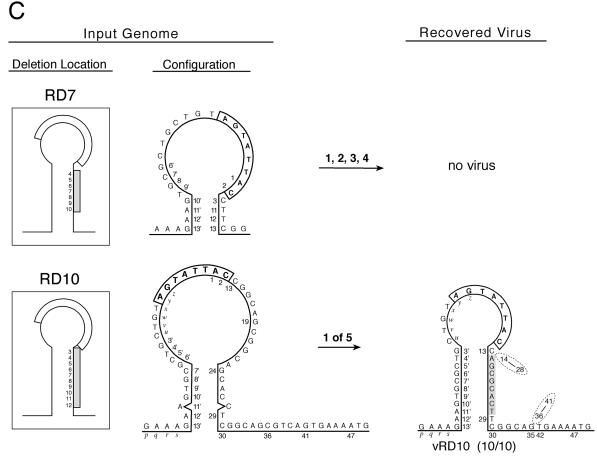 FIG. 4.