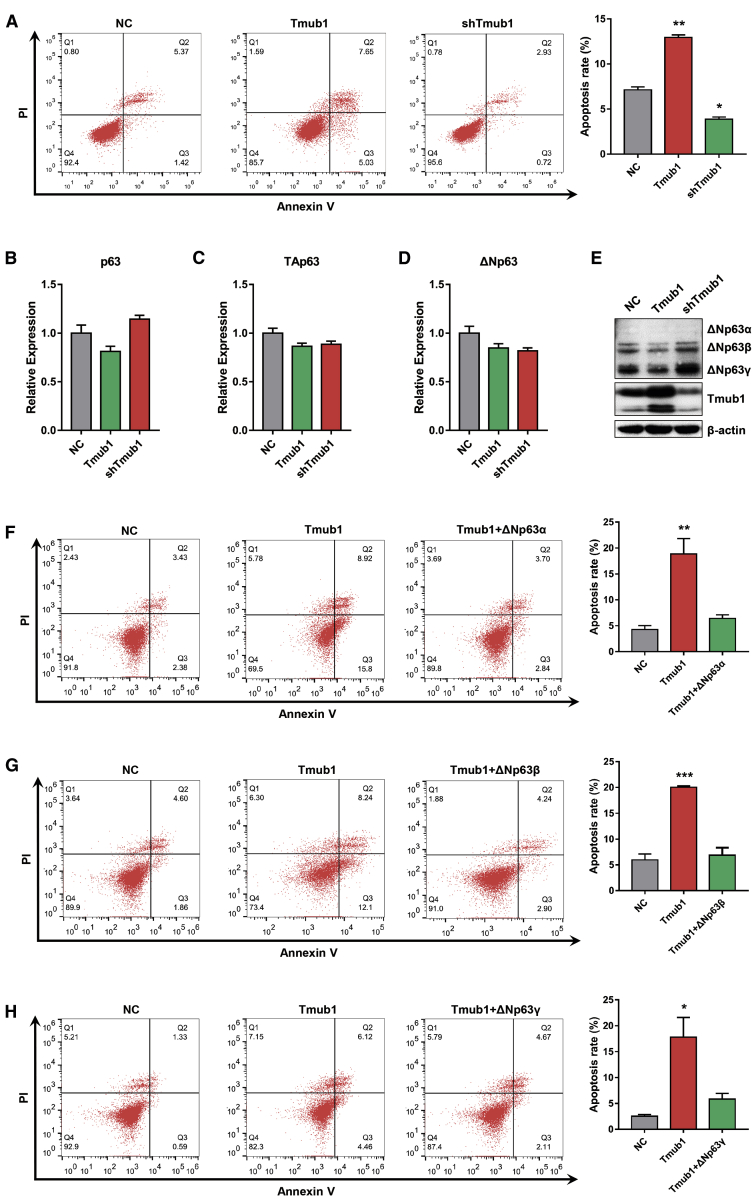 Figure 4