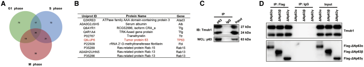 Figure 3