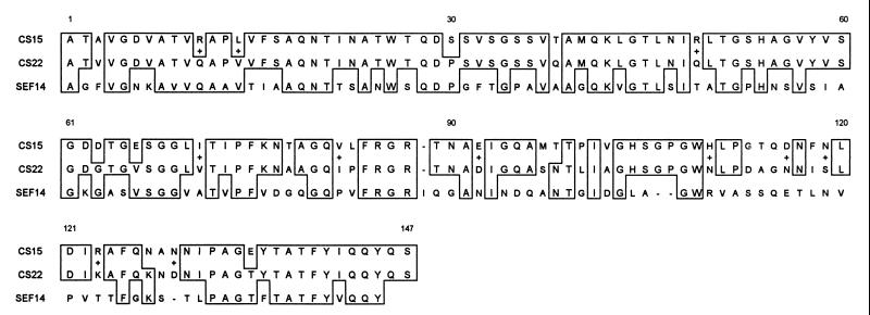 FIG. 6