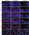 FIG. 4.