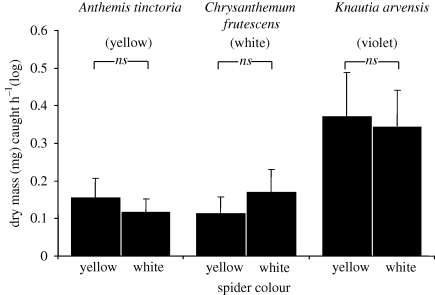 Figure 3.