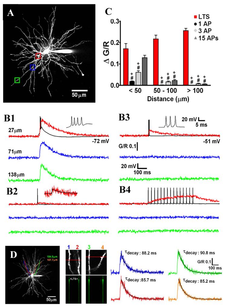 Figure 7