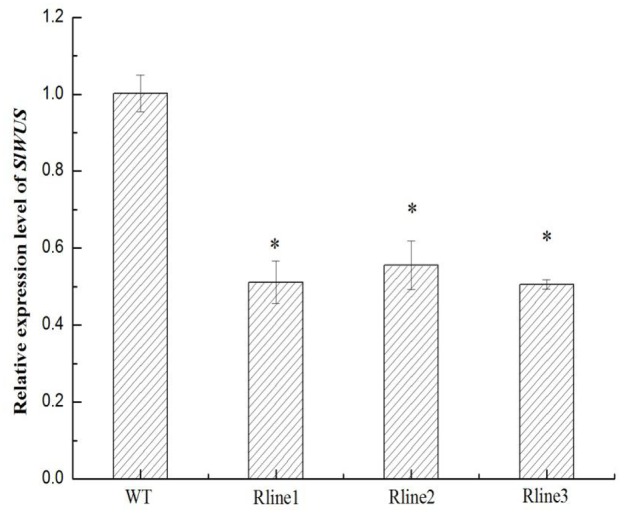 FIGURE 3