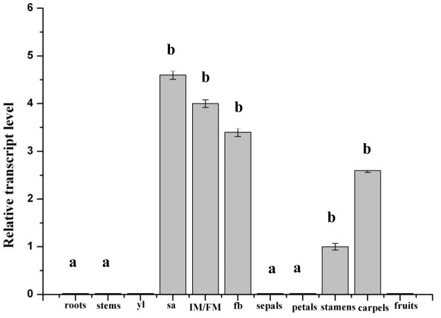 FIGURE 1