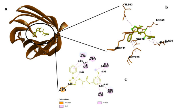 Figure 11