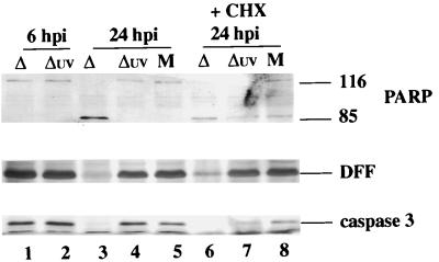 FIG. 9