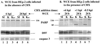 FIG. 8