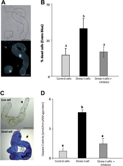 Fig. 11.