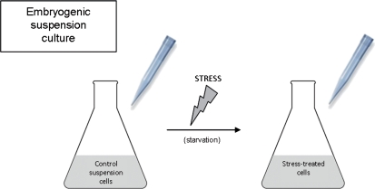 Fig. 10.