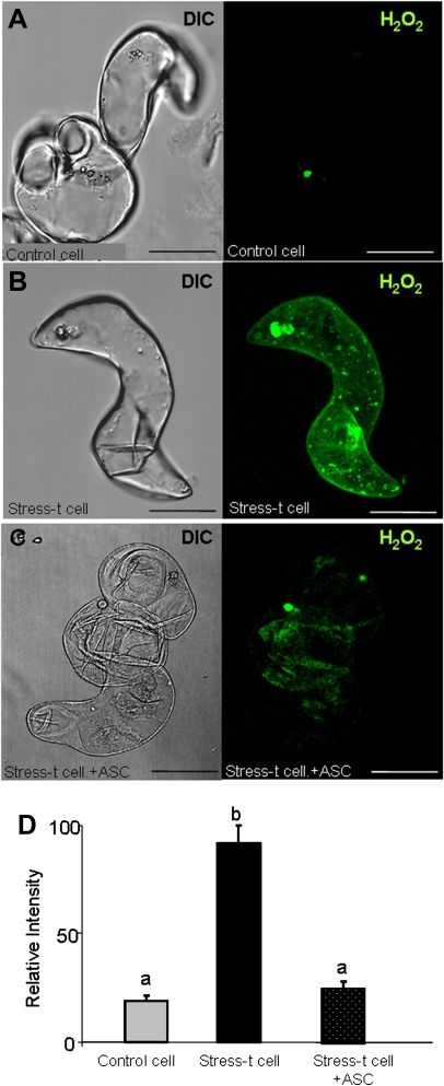 Fig. 13.