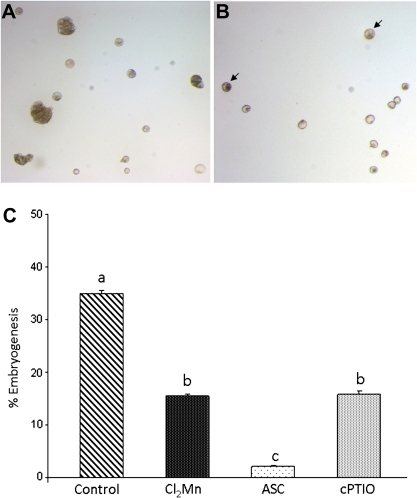 Fig. 9.