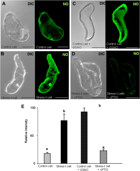 Fig. 14.