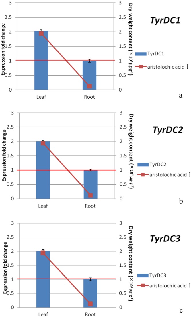 Figure 11