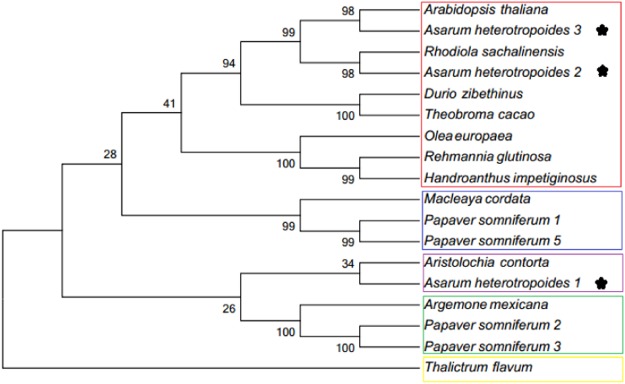 Figure 12