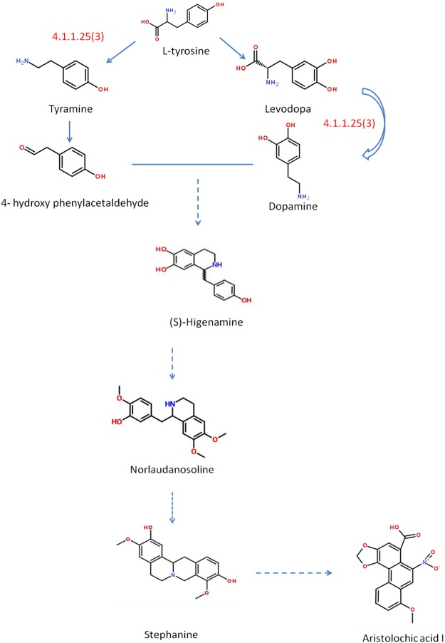 Figure 10