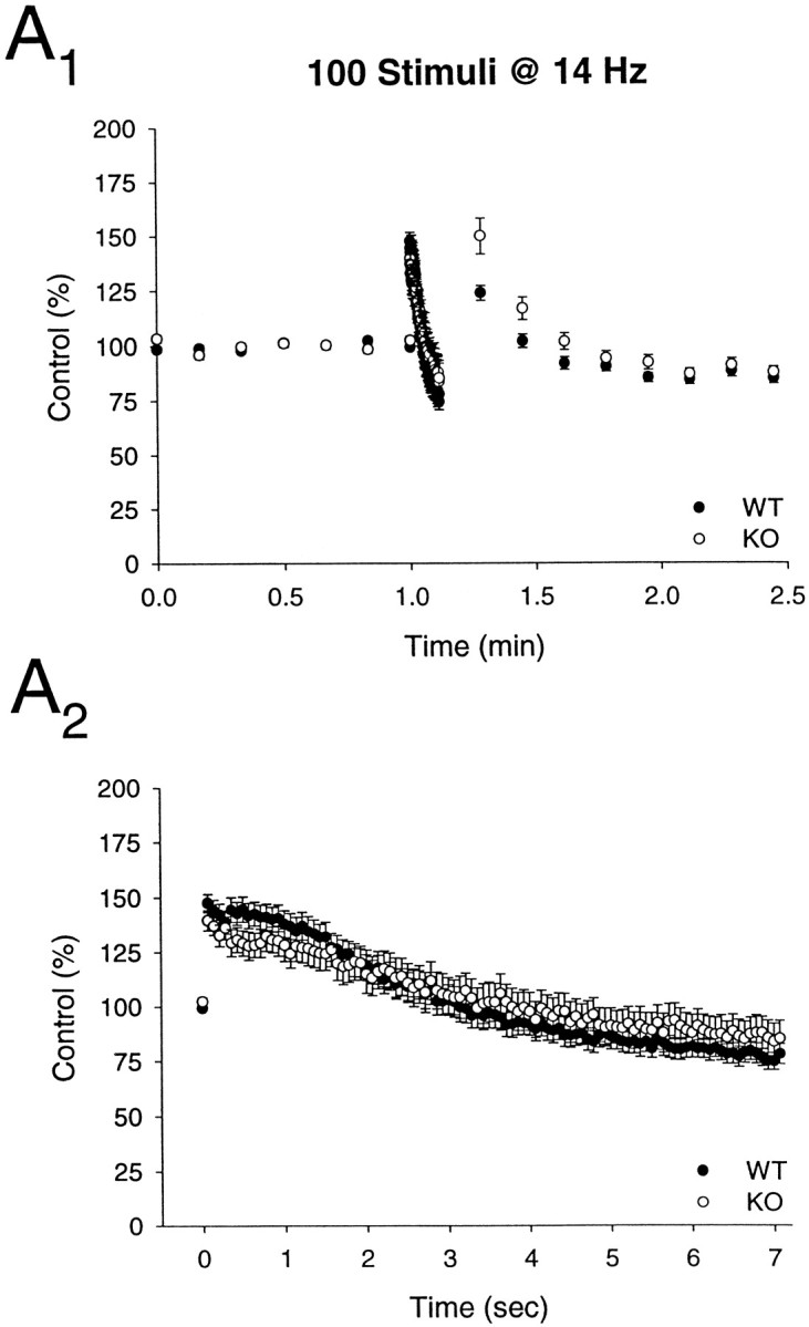 Fig. 10.