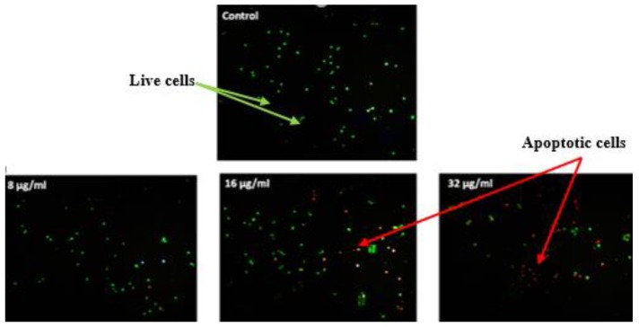 Figure 7