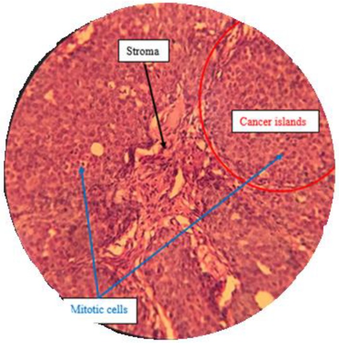 Figure 16