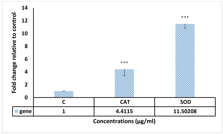 Figure 11