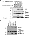 FIG. 4.