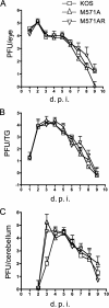 FIG. 7.